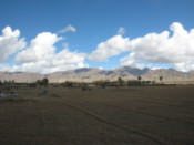 Fields