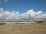Fields