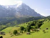 In the Grindelwald valley
