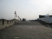 On the wall