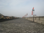 On the wall