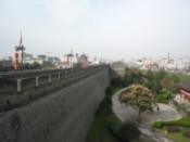 On the wall