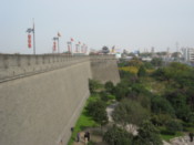 On the wall