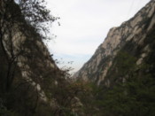 On the way up