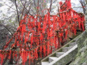 Padlocks with red (luck) ribbons