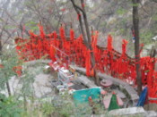 Padlocks with red (luck) ribbons