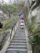 The stairs