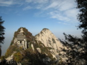 The top