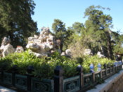 In the Imperial Gardens