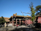 In the Imperial Gardens
