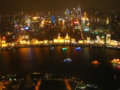 View from the Pearl Tower