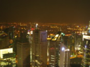 View from the Pearl Tower