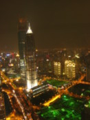 View from the Pearl Tower