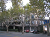 The French Concession