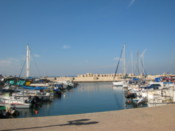 The Jaffa Port