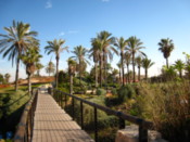The wishing bridge