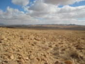 Miles of nothing