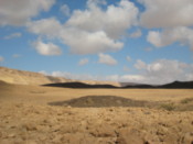 Looking towards black hills