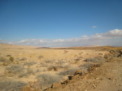 Along the road through the crater