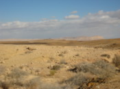Along the road through the crater