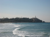 Looking towards Jaffa