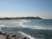 Looking towards Jaffa