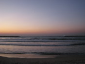 Watching the sunset