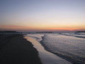 Watching the sunset