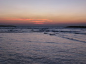 Watching the sunset