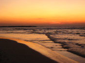 Watching the sunset