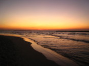 Watching the sunset