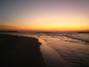 Watching the sunset