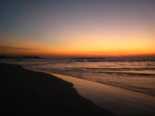 Watching the sunset