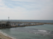 The Tel Aviv port