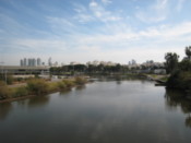 Down by the river