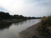 Down by the river