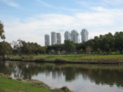 Down by the river