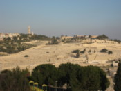 Looking over the city wall