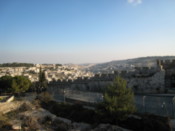 Looking over the city wall