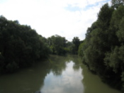 On a bridge looking at a river branch