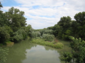 On a bridge looking at a river branch