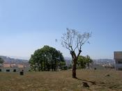 Looking over some of Braga
