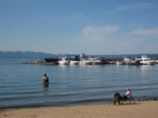 The beach
