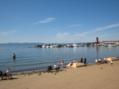 The beach