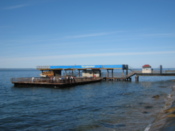 A place to watch sea-life
