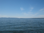 The sea