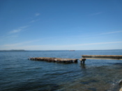 The sea