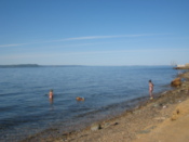 Bathers