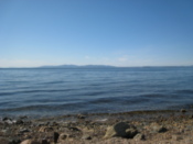 The sea