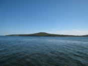 The sea
